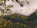 Mountains through the trees and clouds.